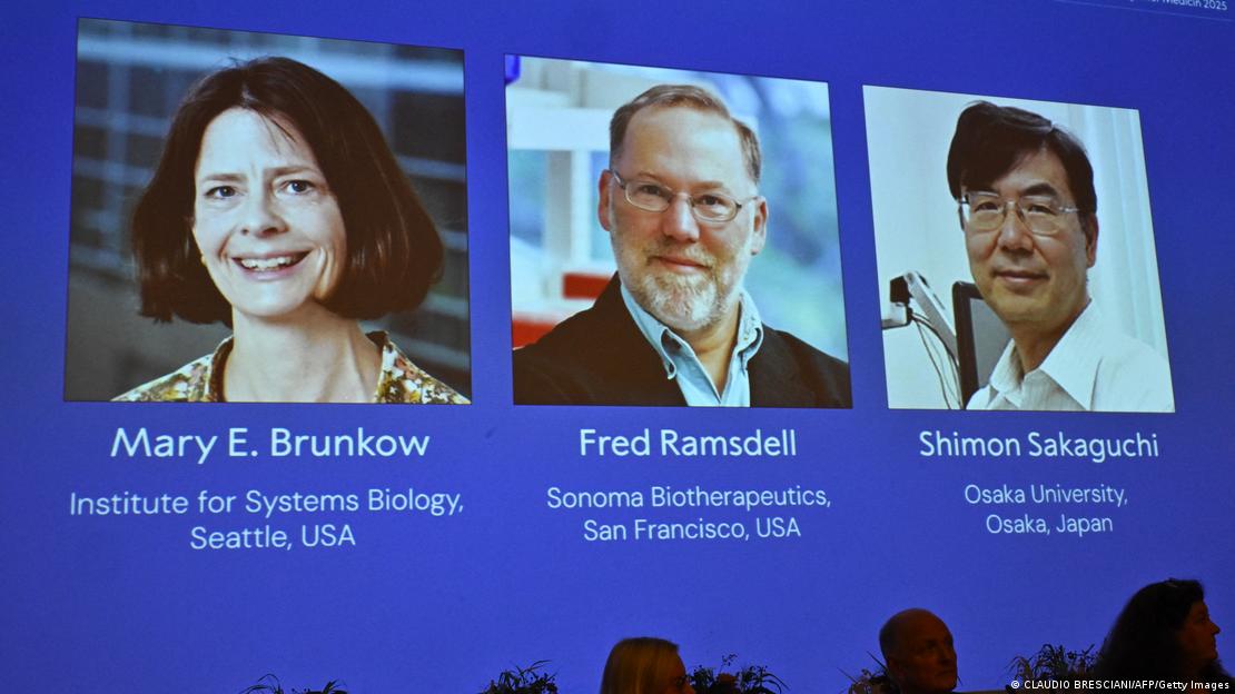 Los científicos implicados en el Premio Nobel de Medicina 2025.
