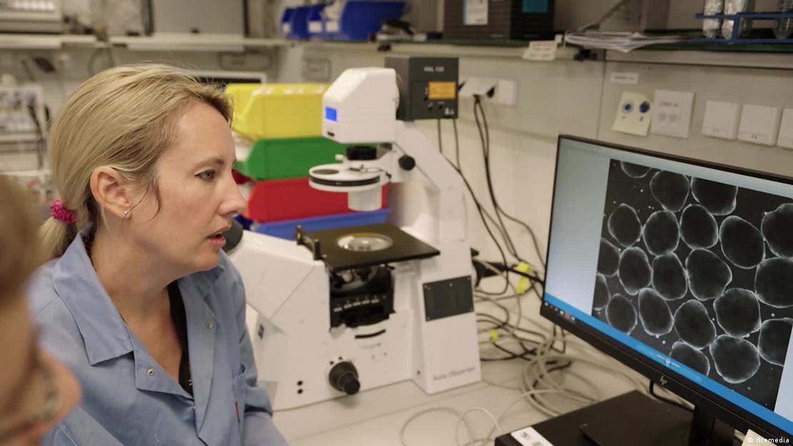 Una investigadora genética está sentada frente a la pantalla, en la que se ven células humanas ampliadas.