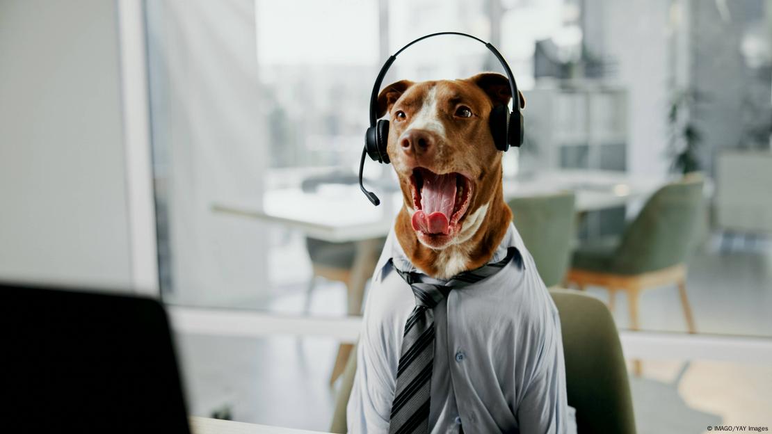 El estudio reveló que los perros poseían suficiente flexibilidad vocal para producir una amplia variedad de frecuencias formantes.
