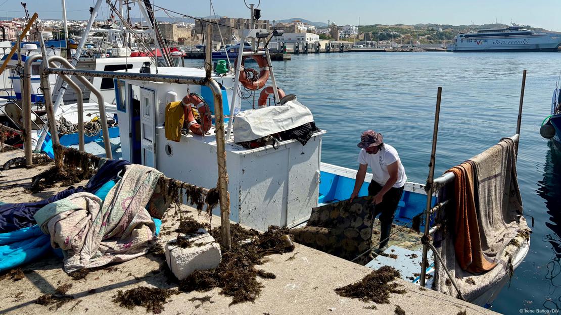 Pescadores em Tarifa, Espanha, limpando seu barco após ele ter sido afetado pela alga asiática Rugulopteryx okamurae. Pescadores em Tarifa, Espanha, limpando seu barco após ele ter sido afetado pela alga asiática Rugulopteryx okamurae.