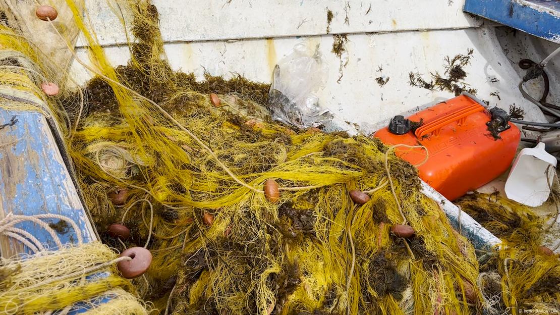 Rugulopteryx okamurae, uma alga asiática, em redes de pesca em Arpa, Palermo. Rugulopteryx okamurae, uma alga asiática, em redes de pesca em Arpa, Palermo.
