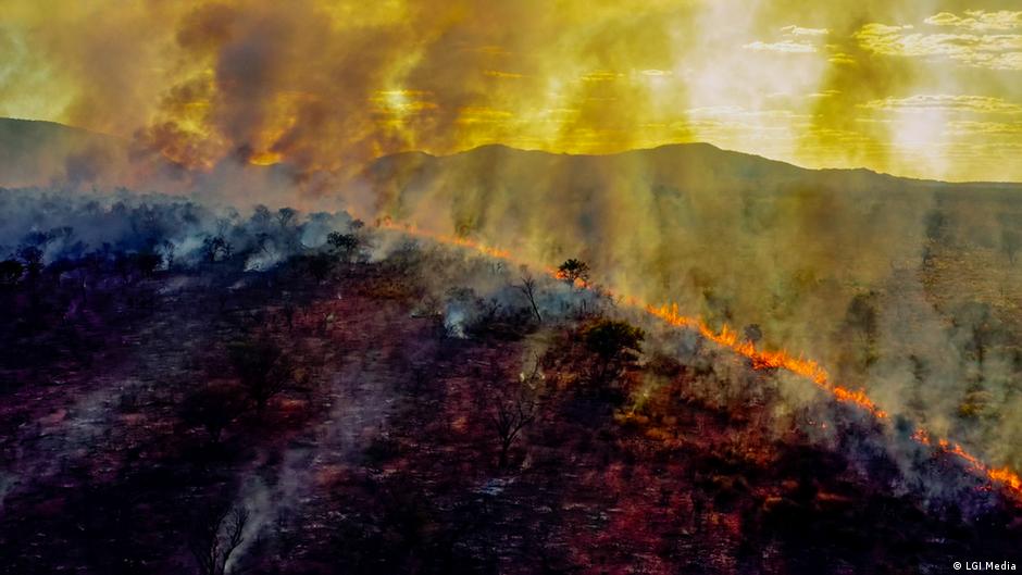 From The Ashes Fighting Fire With Indigenous Knowledge from-the-ashes-fighting-fire-with-indigenous-knowledge