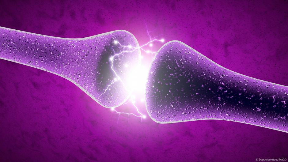 Crean neuronas artificiales que funcionan como las reales