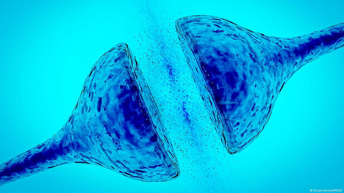 Científicos de UMass Amherst lograron replicar la actividad eléctrica de las neuronas humanas, un paso clave hacia la integración entre biología y tecnología. Científicos de UMass Amherst lograron replicar la actividad eléctrica de las neuronas humanas, un paso clave hacia la integración entre biología y tecnología.