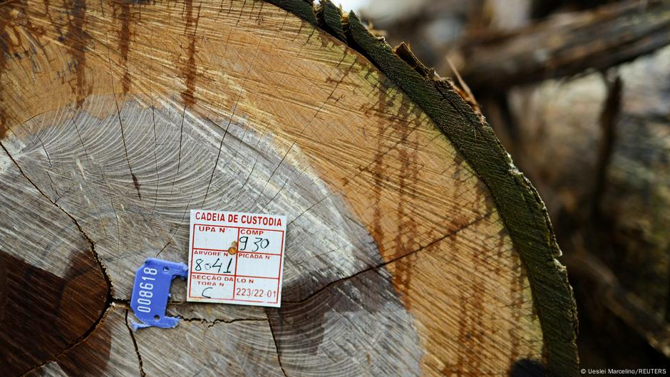 EU Commission suggests easing anti-deforestation law DW 10/21/2025