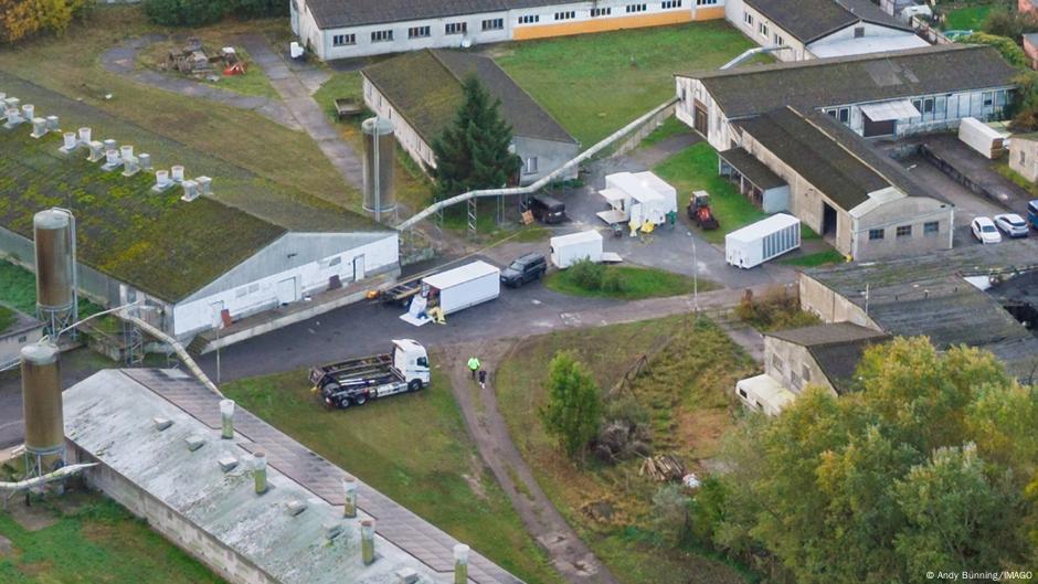 Živinarska farma u Nemačkoj u kojoj je izbio ptičji grip