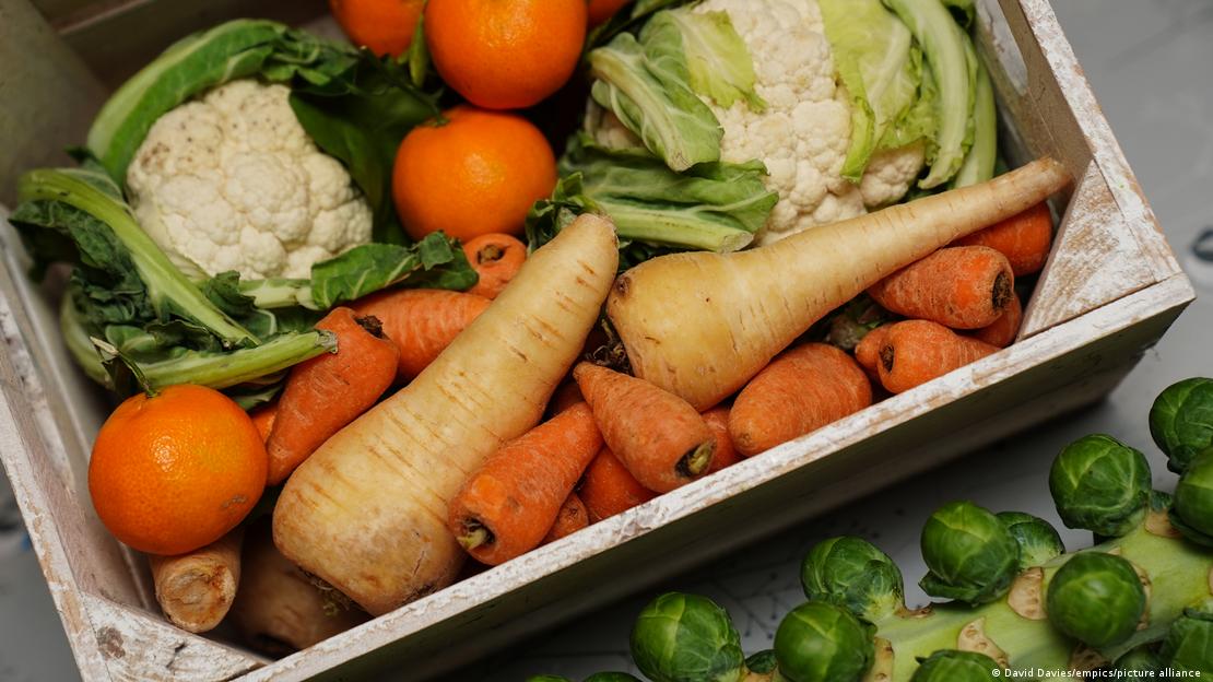 Frutas y verduras siguen siendo la base de la alimentación que respalda la ciencia nutricional.