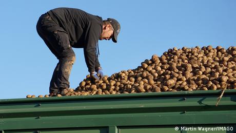 ΕΕ: "Λιγότερη γραφειοκρατία" για τους αγρότες