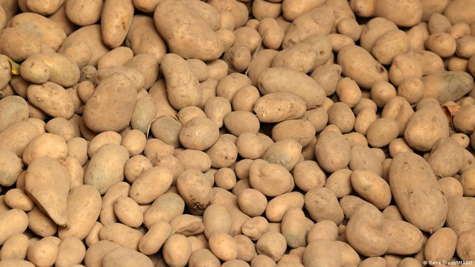 4 million kilos of potatoes given away for free in Berlin