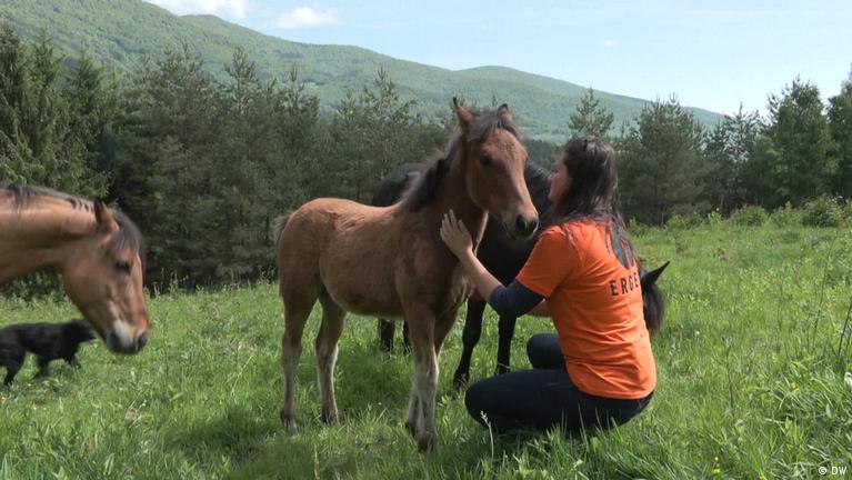 Bosnien: Artenschutz plus Therapie