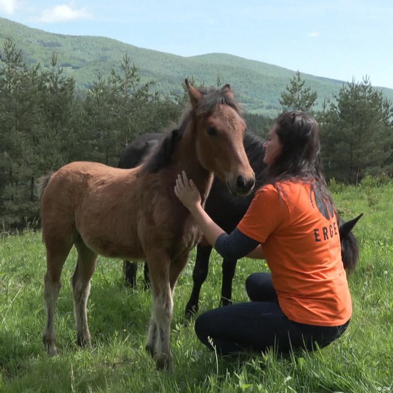 Bosnia and Herzegovina's "horse whisperer" teaches disabled kids to ride