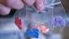 Synthetic drugs in plastic bags Synthetic drugs in plastic bags