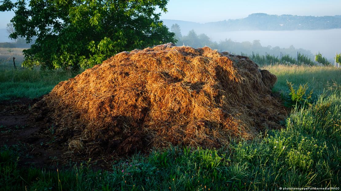 Los compuestos volátiles como el sulfuro de hidrógeno, no materia sólida, son los responsables de los olores que detecta nuestro epitelio olfativo. Los compuestos volátiles como el sulfuro de hidrógeno, no materia sólida, son los responsables de los olores que detecta nuestro epitelio olfativo.