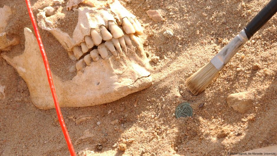 DNA reveals hidden killer of Napoleon’s troops in Russia