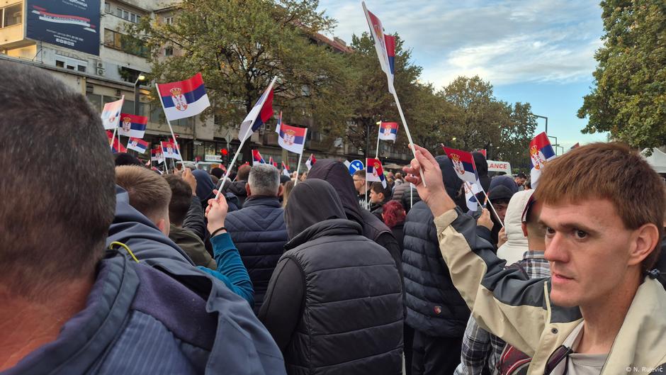 Skup pristalica vlasti u Požarevcu