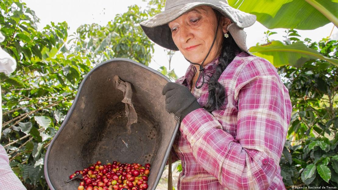 Una trabajadora del campo en La Cabañita en Santa Rosa de Cabal, en Risaralda.