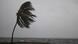 Una palmera doblada por el viento y la marejada en Kingston, Jamaica: imagen de la llegada del huracán Melissa al Caribe. Una palmera doblada por el viento y la marejada en Kingston, Jamaica: imagen de la llegada del huracán Melissa al Caribe.