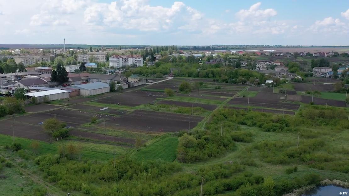 Ukrayna'da miscanthusi bitkisi projesi kapsamında tarımsal yenileme çalışmalarının yapıldığı bir alan Ukrayna'da miscanthusi bitkisi projesi kapsamında tarımsal yenileme çalışmalarının yapıldığı bir alan