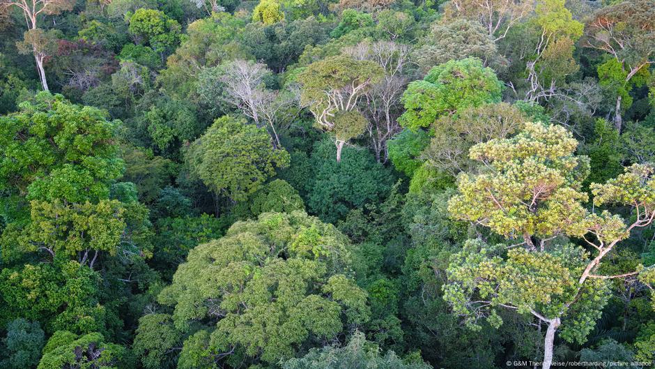 Ahead of UN climate talks, Brazil says deforestation is down