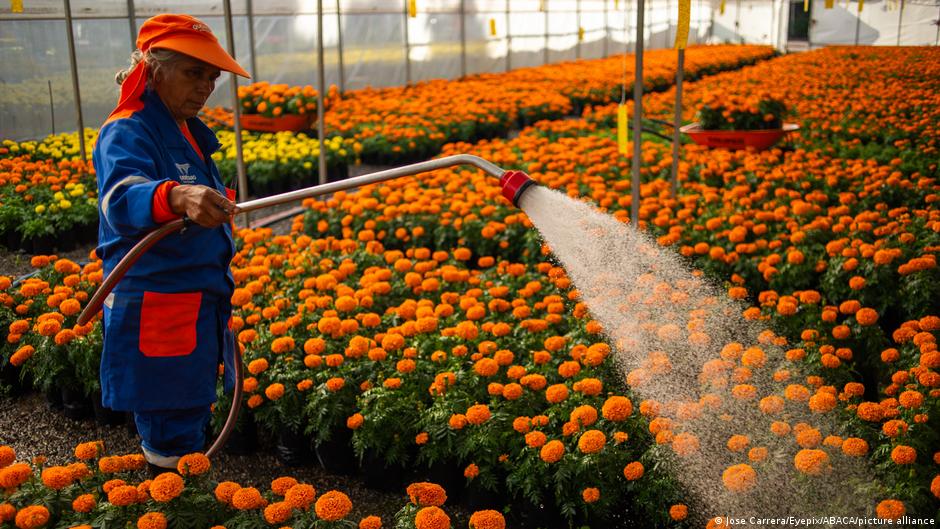 México: Sheinbaum publica reforma que reduce jornada laboral