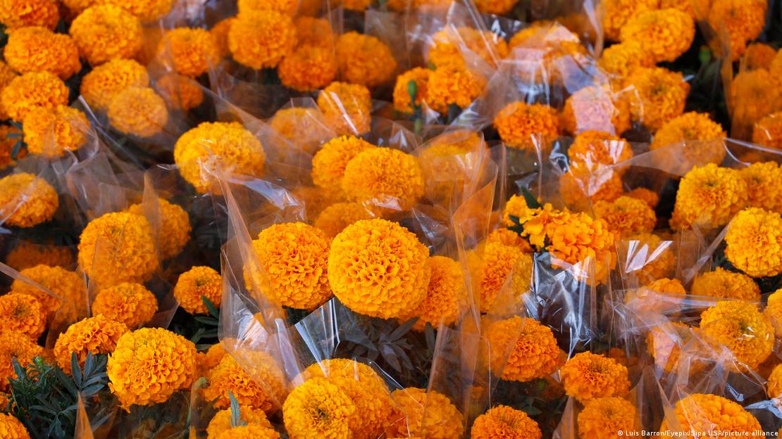 Ramos de flores de cempasúchil.