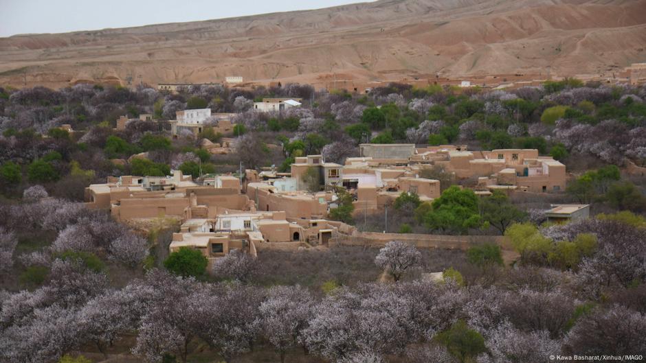 Afghanistan hit by strong magnitude-6.3 earthquake – DW – 11/03/2025