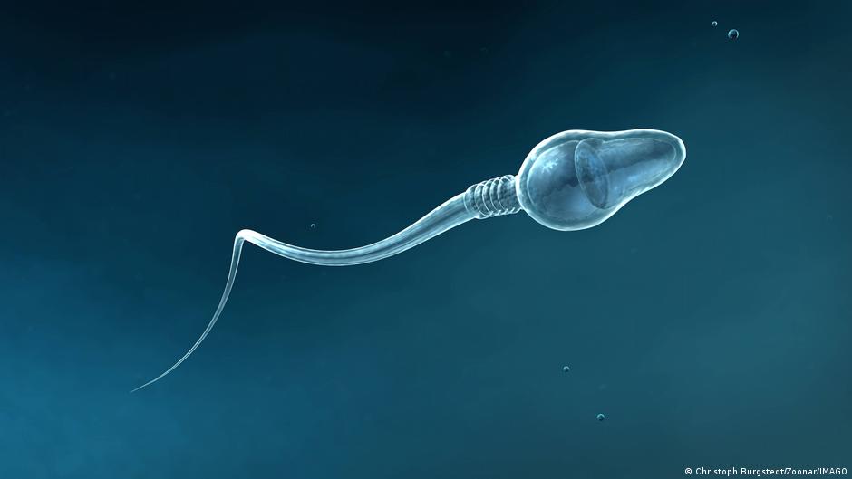 La inteligencia artificial logra el primer embarazo en un caso de infertilidad masculina severa