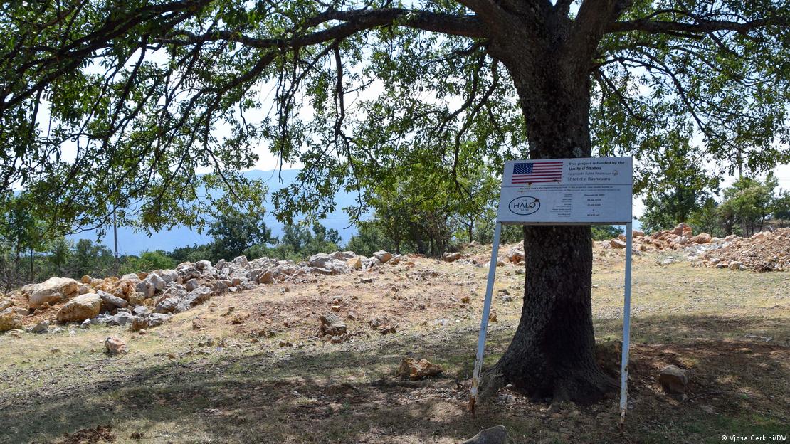 在科索沃普列纳耶村,一棵树下的牌子上挂着一面美国国旗。 在科索沃普列纳耶村,一棵树下的牌子上挂着一面美国国旗。