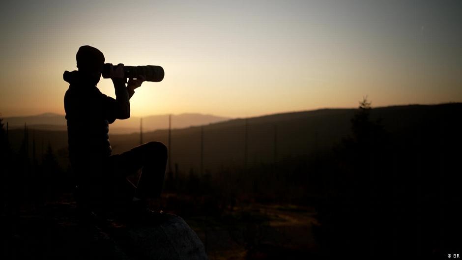 German photographer captures nature's fragile magic – DW – 11