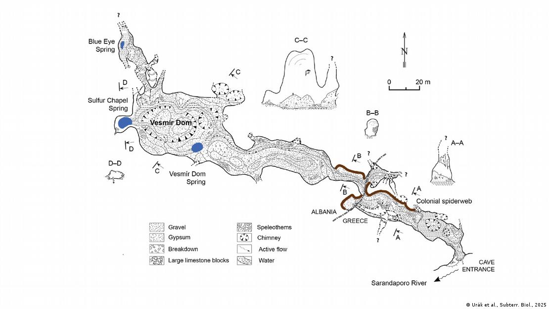 El mapa muestra la ubicación de la colosal telaraña (marrón) y los manantiales sulfurosos (azul) que sustentan este insólito ecosistema cavernícola.