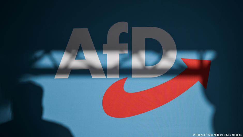 Germany news: AfD trip to Russia sparks 'treason' accusation  DW  11/07/2025