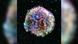 Las supernovas tipo Ia, como la SN 1572 (la supernova de Tycho, en la foto), se utilizan como candelas estándar para medir distancias cósmicas en estudios sobre la expansión del universo. Las supernovas tipo Ia, como la SN 1572 (la supernova de Tycho, en la foto), se utilizan como candelas estándar para medir distancias cósmicas en estudios sobre la expansión del universo.