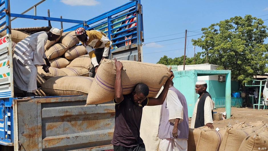 Sudan: RSF pushes east as conflict intensifies DW 11/13/2025