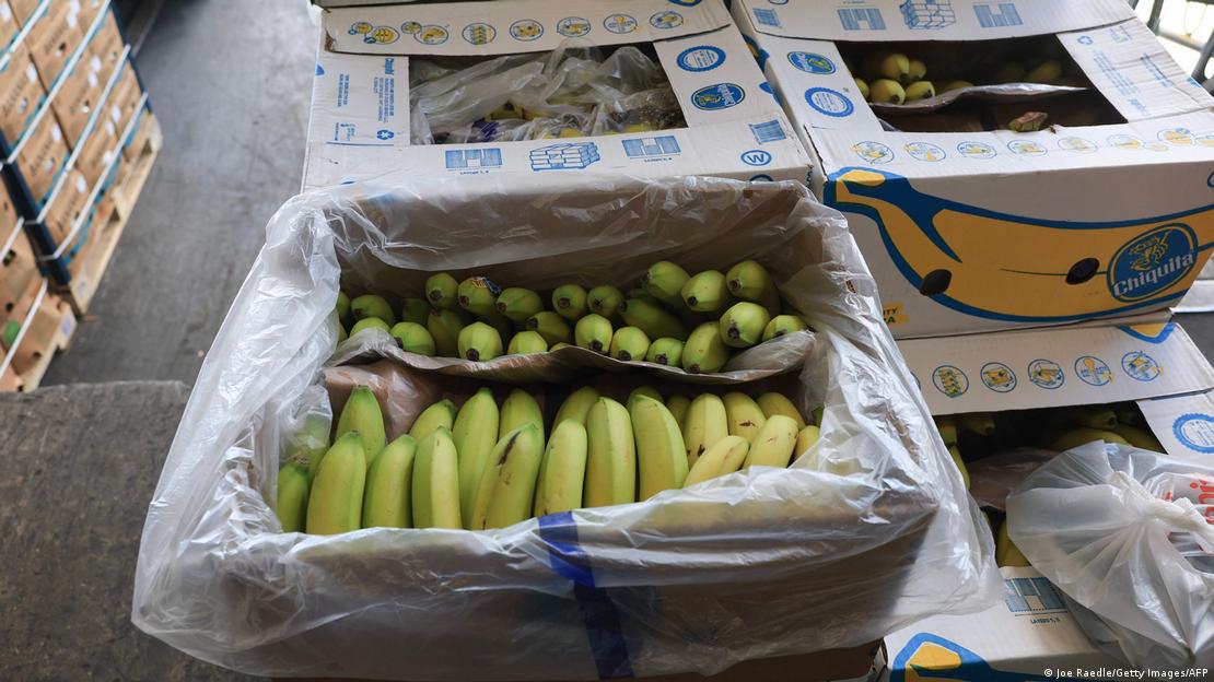 Кашони банани на борса в Маями, Флорида Кашони банани на борса в Маями, Флорида