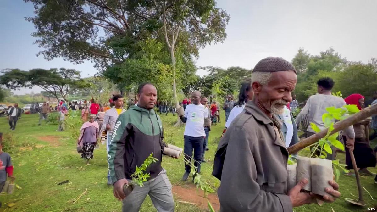 Äthiopien will 2025 sieben Milliarden Bäume pflanzen