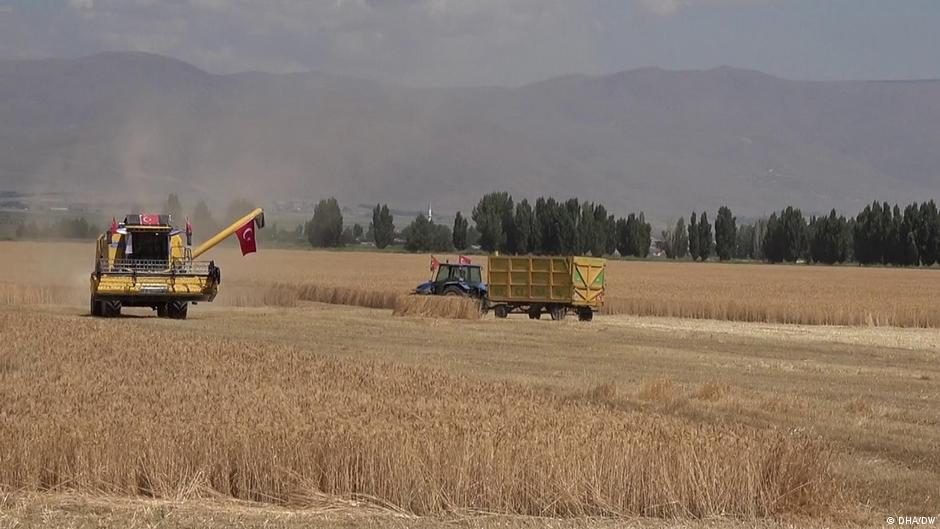 D-rre-in-der-T-rkei-Droht-eine-Nahrungskrise-