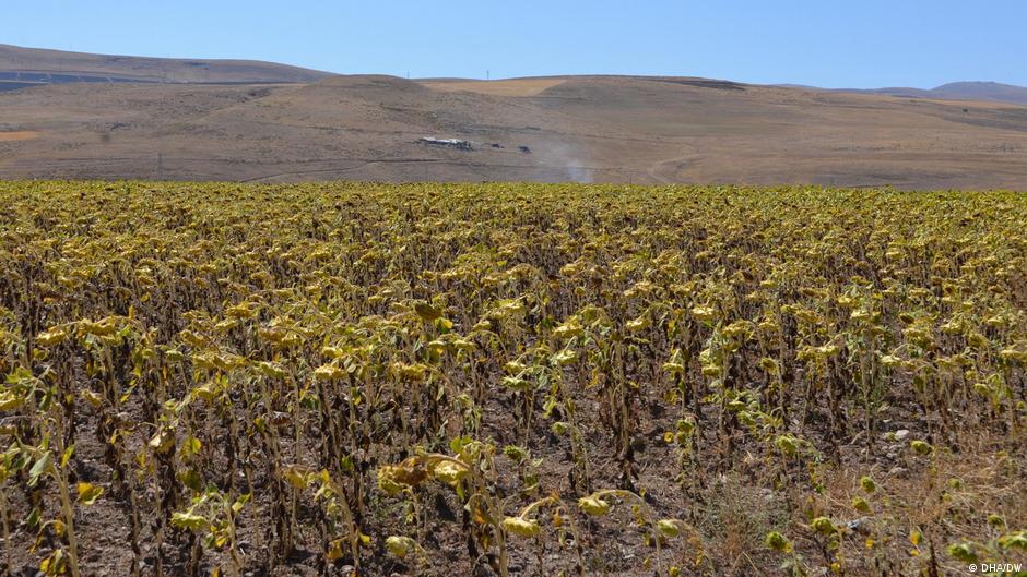 Küresel ısınma Türkiye'yi nasıl değiştirebilir?