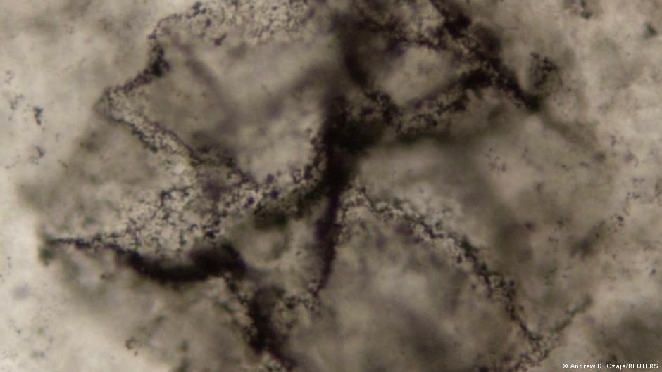 Detectan señales de vida en rocas de 3.300 millones de años