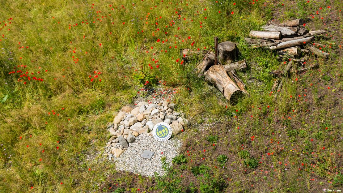 Área favorável ​​a insetos com pedaços de madeira, pedras e plantas