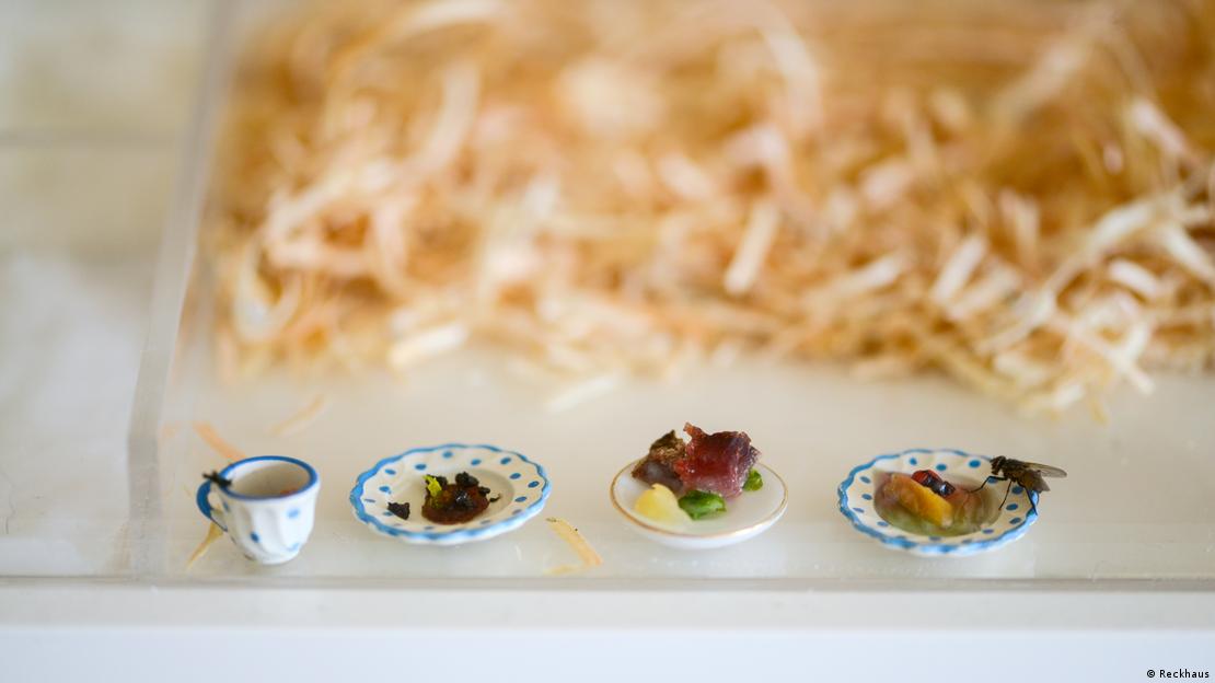 Projeto artístico com três minúsculos pratos de comida e uma xícara 