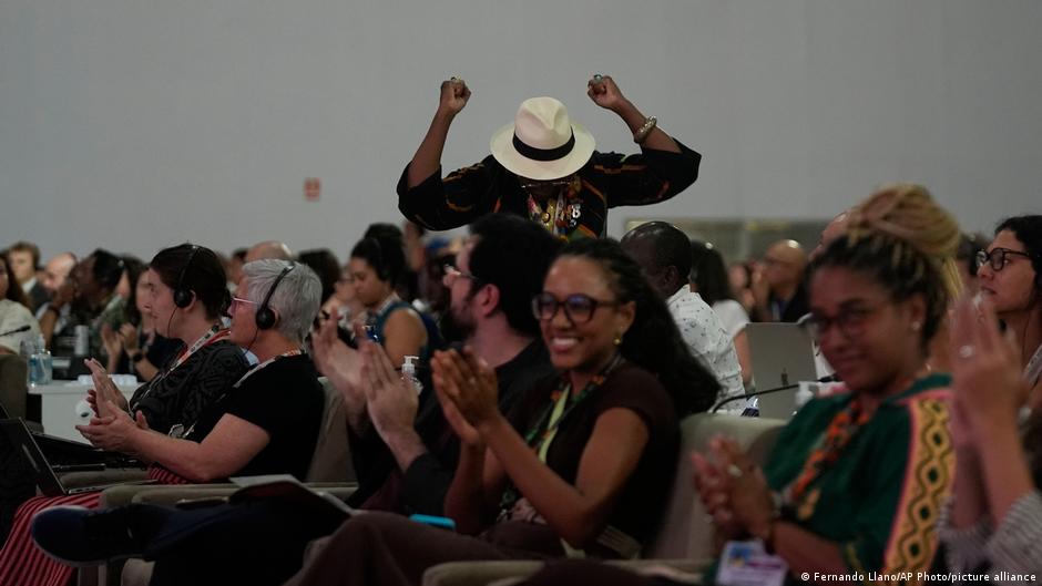 COP30: Nations agree climate deal without fossil fuel plan