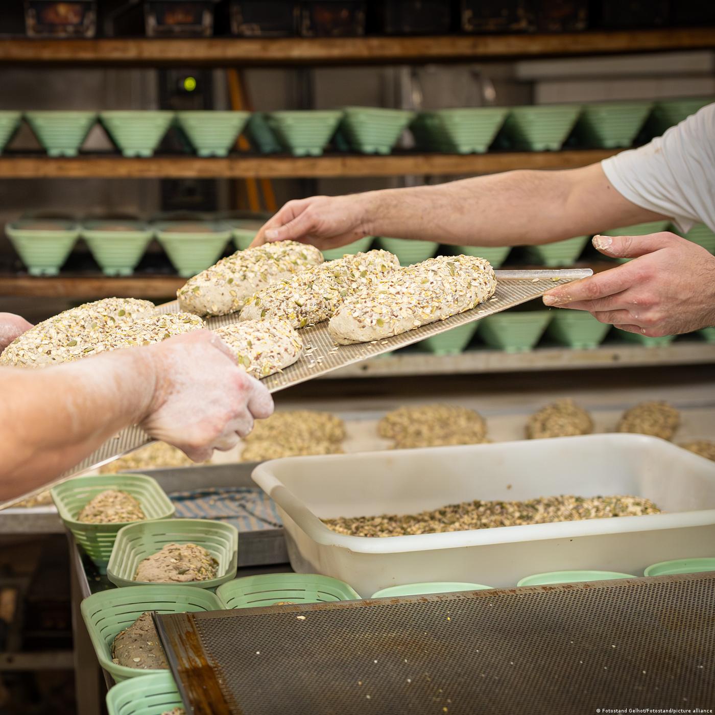 Wenn der Berufsabschluss nicht anerkannt wird