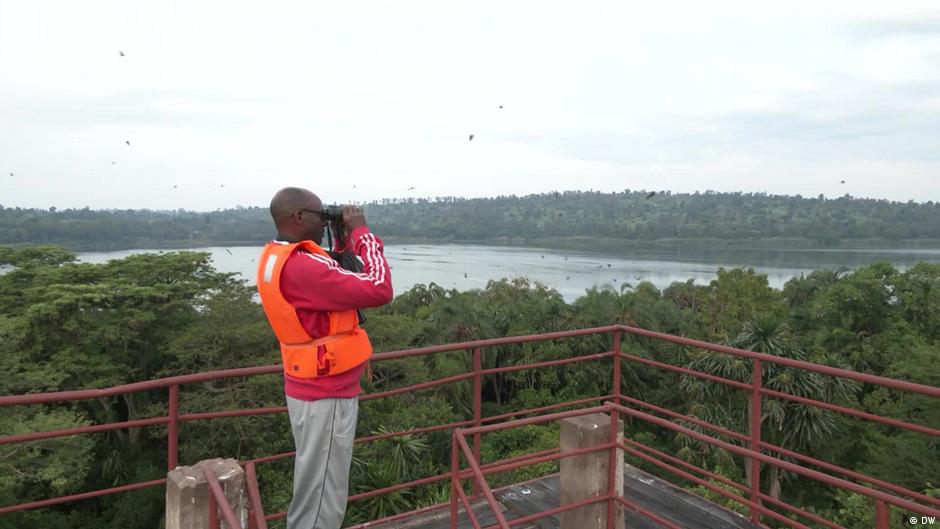 Community efforts to protect Burundi's birdlife – DW – 12