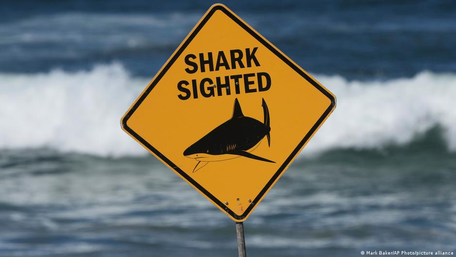 Australia: Shark attack kills one, seriously injures another