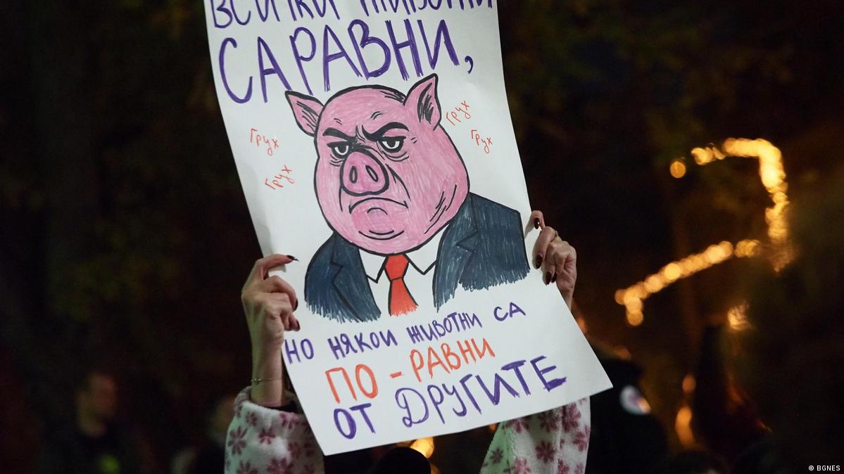 Един от плакатите на протеста, провел се в София на 26 ноември.