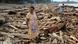 Una mujer observa los innumerables troncos de árboles que quedaron varados en la orilla, tras inundaciones repentinas y deslizamientos de tierra mortales, en Padang, provincia de Sumatra Occidental, Indonesia, el 30 de noviembre de 2025. Una mujer observa los innumerables troncos de árboles que quedaron varados en la orilla, tras inundaciones repentinas y deslizamientos de tierra mortales, en Padang, provincia de Sumatra Occidental, Indonesia, el 30 de noviembre de 2025.