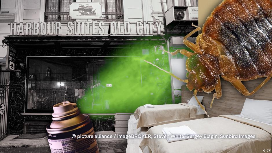 Deadly hotel pesticide in Turkey: How it happened – DW – 12