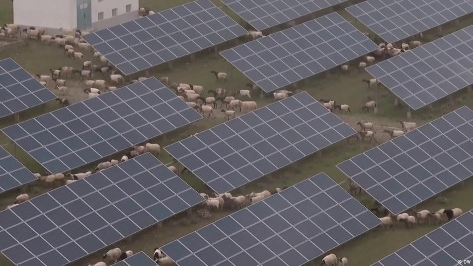 Is the Global South leading the green transition? – DW – 12