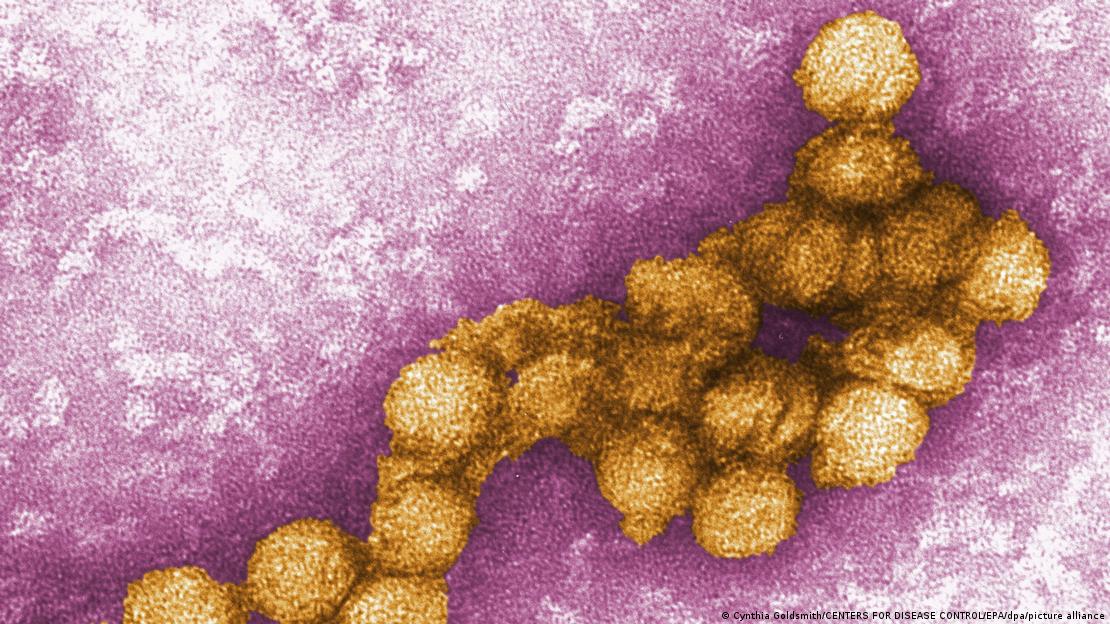 Çoğu durumda, Batı Nil Virüsü enfeksiyonu asemptomatiktir. David'in durumunda ise virüs beynine nüfuz ederek kalıcı hasara neden oldu.