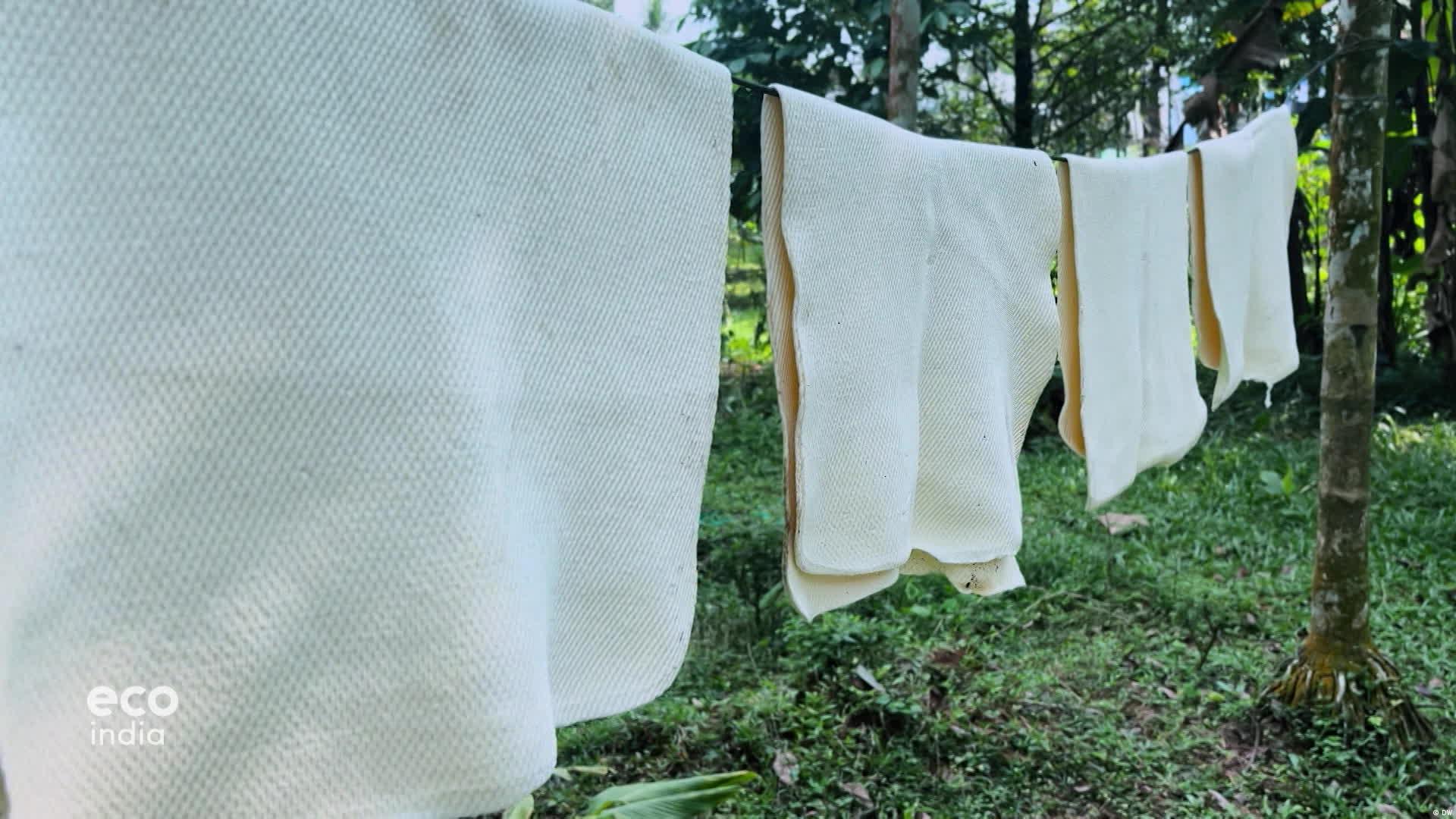 Kerala's farmers try to bounce back from rubber crisis – DW – 12/11/2025, image size:1920x1080